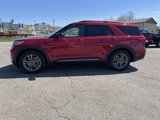 New 2024 Ford Explorer XLT w/ Equipment Group 202A image 6