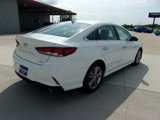 Used 2019 Hyundai Sonata Limited image 3