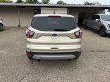 Used 2017 Ford Escape SE image 5