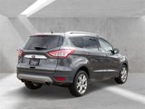 Used 2015 Ford Escape Titanium image 3