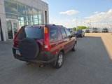 Used 2004 Honda CR-V EX image 4