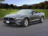 Used 2019 Ford Mustang Convertible image 3