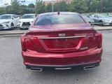 Used 2023 Cadillac CT5 Luxury w/ Sun And Sound Package image 4