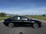 Used 2024 Hyundai Sonata Limited image 4