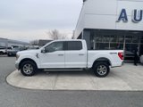 Certified 2023 Ford F150 Lariat image 5