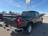 Used 2020 Chevrolet Silverado 1500 LT w/ All-Star Edition image 6