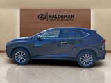 Used 2020 Lexus NX 300 AWD w/ Comfort Package image 4