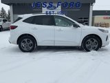 Used 2023 Ford Escape ST-Line image 6