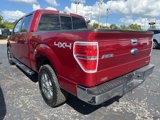 Used 2013 Ford F150 XLT w/ Luxury Equipment Group image 5