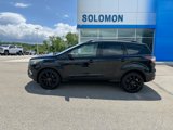 Used 2017 Ford Escape SE w/ Equipment Group 201A image 2