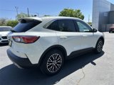 Certified 2022 Ford Escape SEL image 5