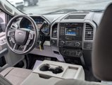 Used 2016 Ford F150 XLT w/ Equipment Group 301A Mid image 2