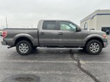 Used 2014 Ford F150 XLT w/ XLT Chrome Package image 4