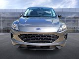 Used 2022 Ford Escape SE w/ SE Sport Appearance Package image 3