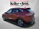 Used 2022 Ford Escape SEL w/ Technology Package image 5