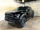 Used 2017 Ford F150 Raptor w/ Equipment Group 802A Luxury image 3