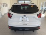 Used 2019 Ford Escape SE image 3
