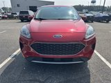 Used 2020 Ford Escape SE image 2