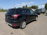 Used 2018 Ford Escape SE w/ SE Sync 3 Package image 6