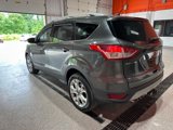 Used 2016 Ford Escape Titanium image 3