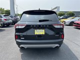 Certified 2022 Ford Escape SE w/ Convenience Package image 6