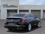 New 2025 Cadillac CT4 Premium Luxury image 4