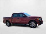 Used 2014 Ford F150 STX w/ Equipment Group 201A Mid image 4