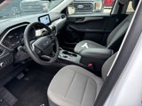 Used 2022 Ford Escape SE w/ SE Sport Appearance Package image 6