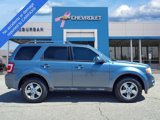 Used 2010 Ford Escape Limited image 4