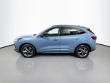 Used 2024 Ford Escape ST-Line w/ Tech Pack #1 image 4