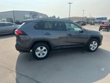 Used 2021 Toyota RAV4 XLE w/ Carpet Mat Package (TMS) image 2