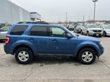 Used 2010 Ford Escape XLT image 6