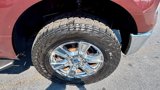 Used 2016 Ford F150 XLT w/ Equipment Group 302A Luxury image 4