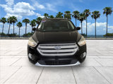 Certified 2019 Ford Escape SE image 3