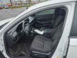 Used 2024 Honda Accord Sport image 5