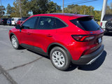 New 2025 Ford Escape Active w/ Cold Weather Package image 3
