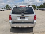 Used 2011 Ford Escape XLT image 3