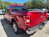 Certified 2019 Ford F150 XLT w/ Equipment Group 302A Luxury image 4