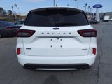 Used 2024 Ford Escape ST-Line w/ Tech Pack #1 image 6