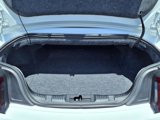 Used 2019 Ford Mustang GT Premium w/ Equipment Group 401A image 6