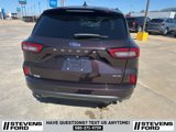 Used 2023 Ford Escape ST-Line w/ Tech Pack #1 image 5