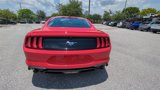 Used 2023 Ford Mustang Premium image 5