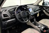Used 2020 Subaru Forester Limited w/ Popular Package #3 image 2