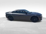 Used 2023 Dodge Charger SXT w/ Blacktop Package image 2