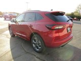 New 2024 Ford Escape ST-Line image 4