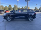 New 2025 Ford Escape ST-Line w/ Tech Pack #1 image 3
