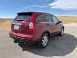 Used 2008 Honda CR-V EX-L image 5
