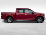 Used 2017 Ford F150 XLT w/ Equipment Group 302A Luxury image 6