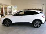 Used 2021 Ford Escape SE w/ SE Sport Appearance Package image 5