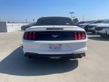 Used 2021 Ford Mustang Premium image 5
